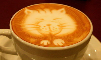 Did you know… Cats and Coffee?!