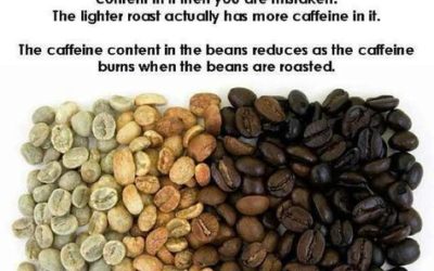 Which Beans Have More Caffeine?