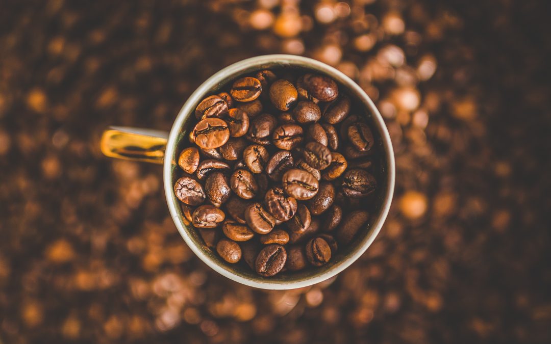 Early Humans ATE Their Coffee – Here’s How